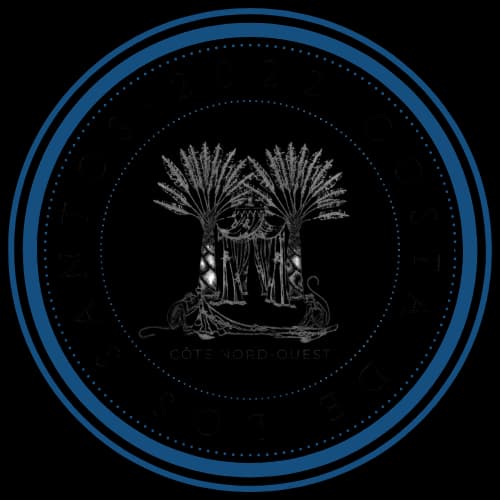 Pin de Costa de los Santos